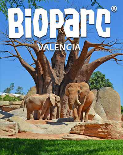Entradas Bioparc Valencia en Valencia