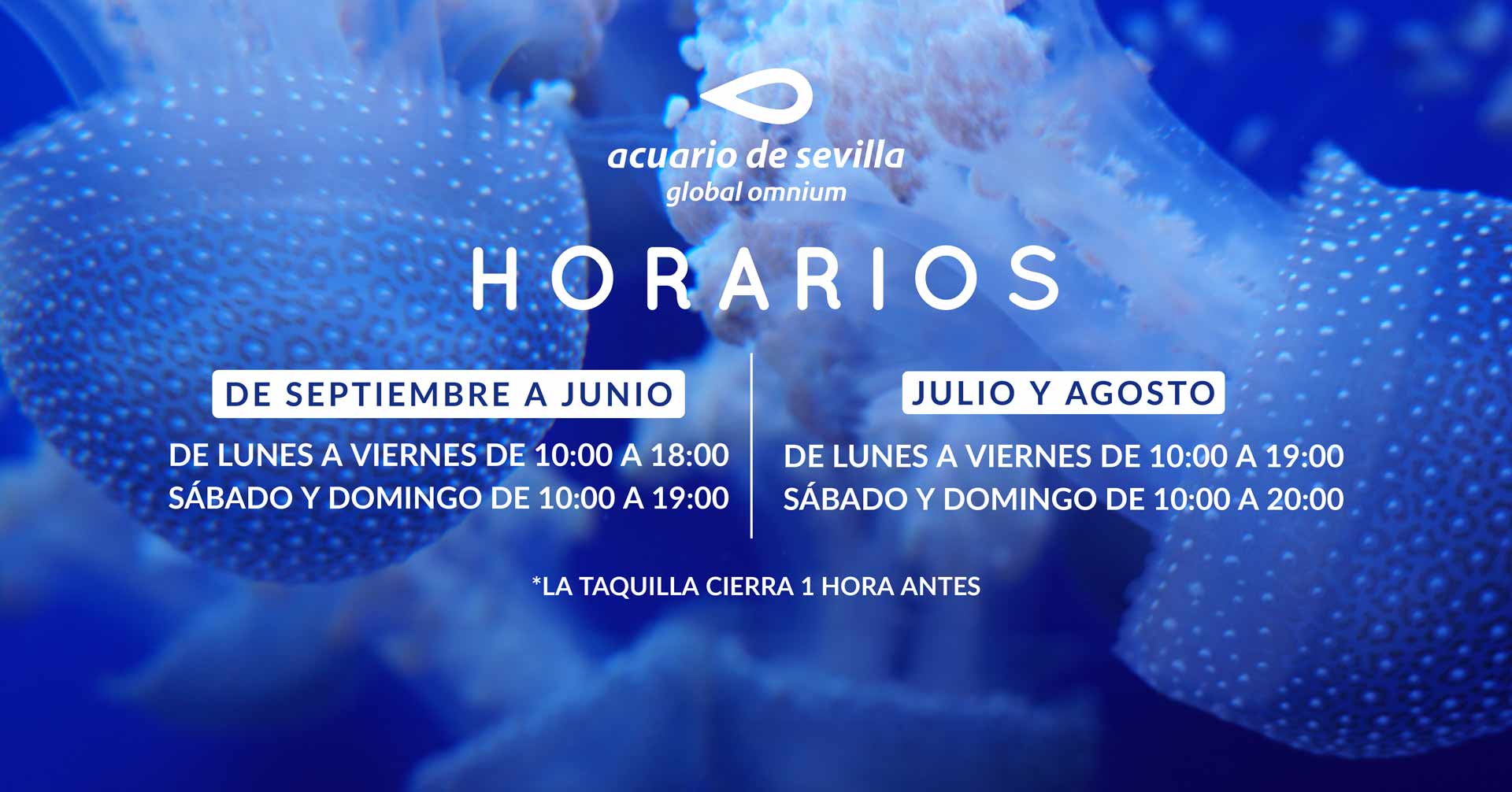 https://ecientradasprocdn.azureedge.net/image_uploads/attachments/000/012/966/AcuarioDeSevillaHorarios-2024.jpg